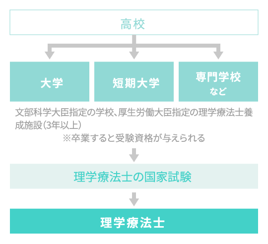 理学療法士になるためのながれ