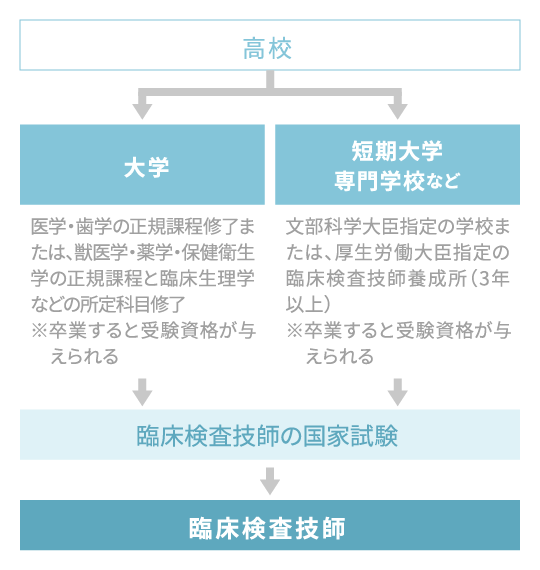 臨床検査技師になるためのながれ