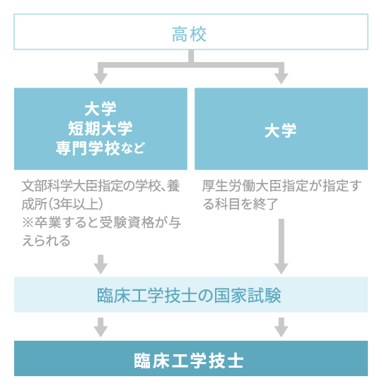 臨床工学技士になるためのながれ