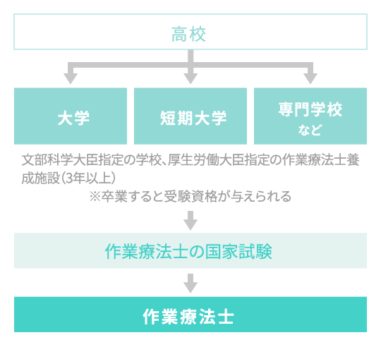 作業療法士になるためのながれ