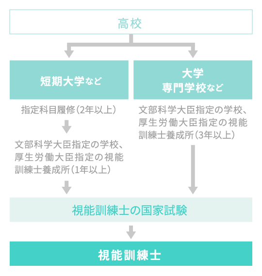 視能訓練士になるためのながれ