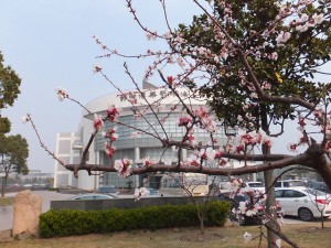 resize1482