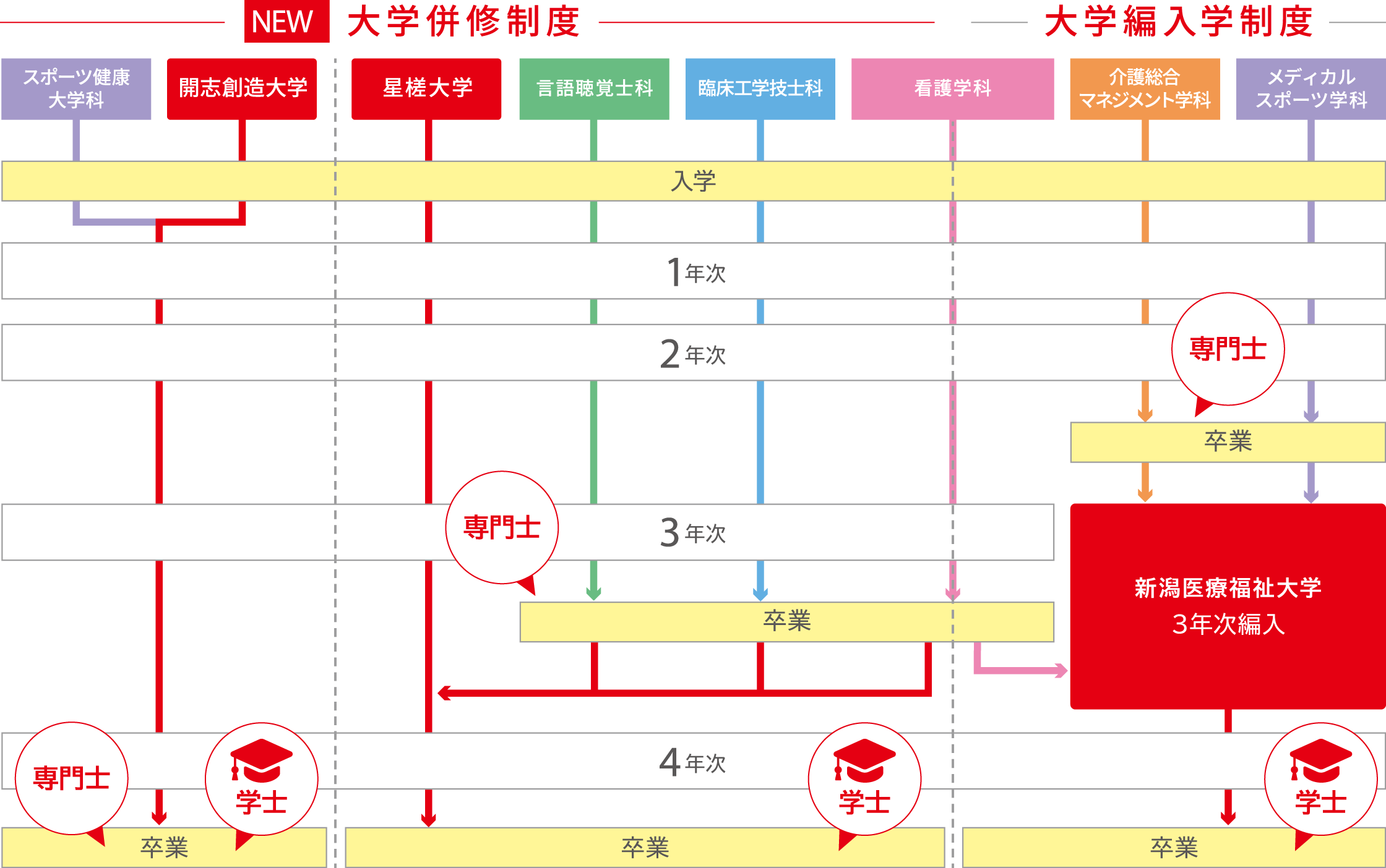 学士取得の流れ